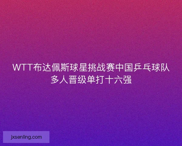 WTT布达佩斯球星挑战赛中国乒乓球队多人晋级单打十六强
