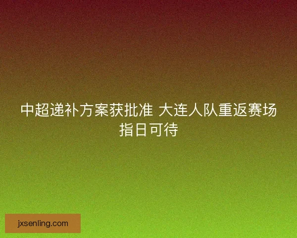 中超递补方案获批准 大连人队重返赛场指日可待 中超递补方案获批准 大连人队重返赛场指日可待