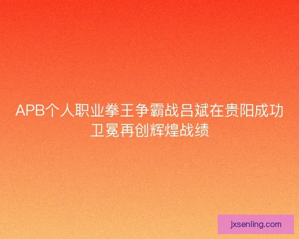APB个人职业拳王争霸战吕斌在贵阳成功卫冕再创辉煌战绩 APB个人职业拳王争霸战吕斌在贵阳成功卫冕再创辉煌战绩